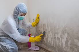 Eastvale, CA Mold Inspection Company